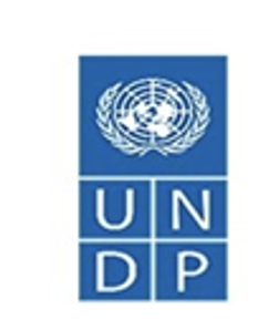 UNDP